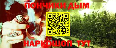 индика Будённовск