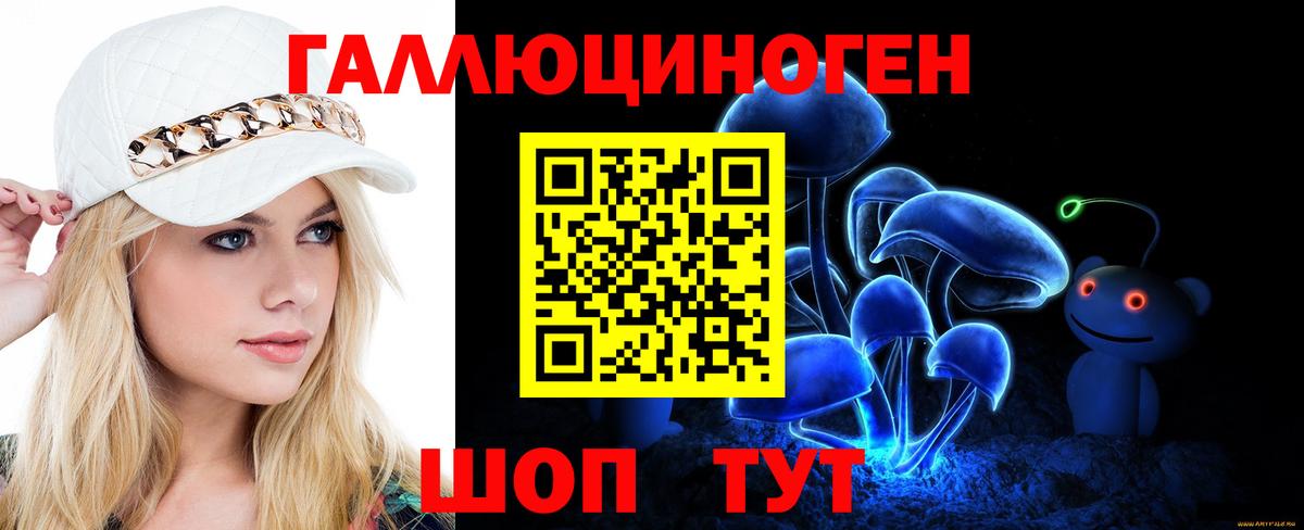 Псилоцибиновые грибы Psilocybine cubensis Узловая
